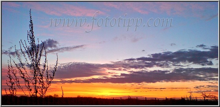 Sonnenaufgang Wendehammer 2.jpg - Morgens in Dortmund. Fotografiert mit dem Foto-Handy K800i